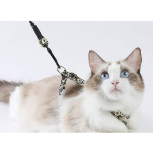 Miniatura 4 de Arnés-Correa Mascota Pequeño Redondo